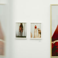ELENA ANTONINI "Oggetto Privato" - Image 2